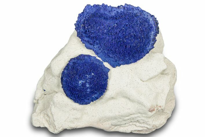 Vibrant Blue Azurite Suns on Siltstone - Australia #318795